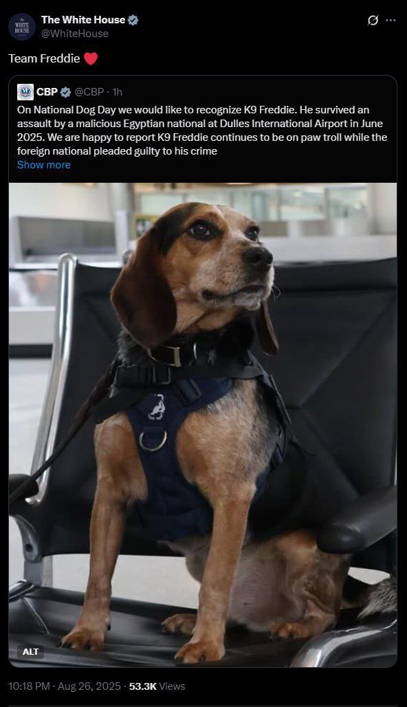 Freddie the K9 Officer